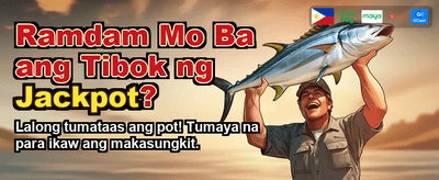 Spin and Win Big Now